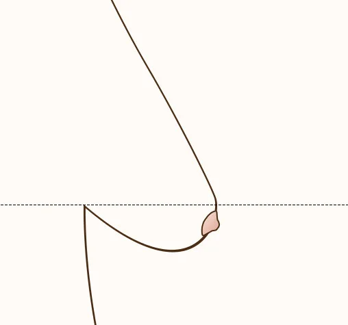 B